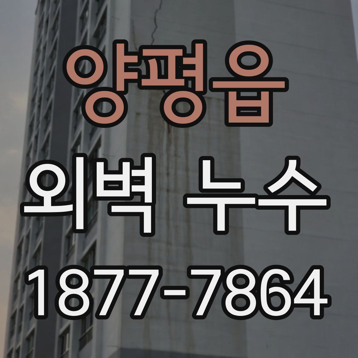 양평읍 외벽 누수