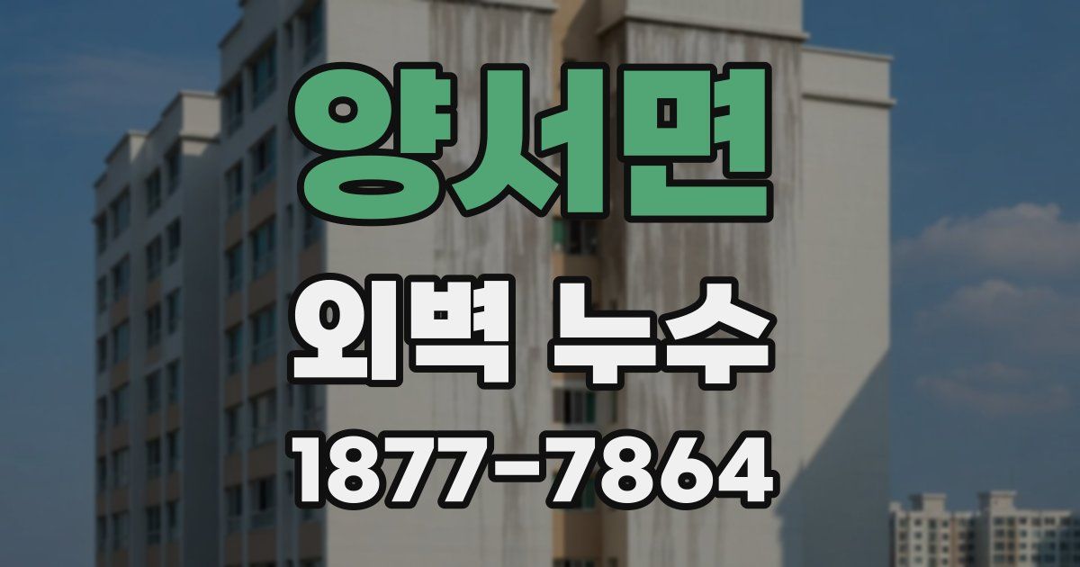 양서면 외벽 누수