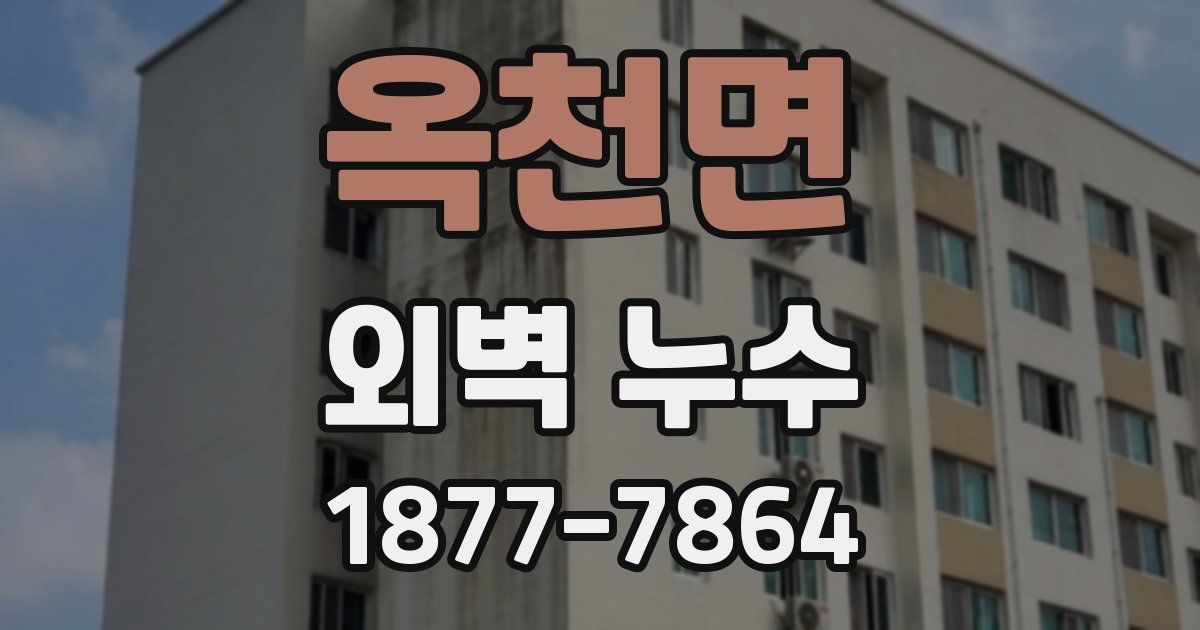 옥천면 외벽 누수