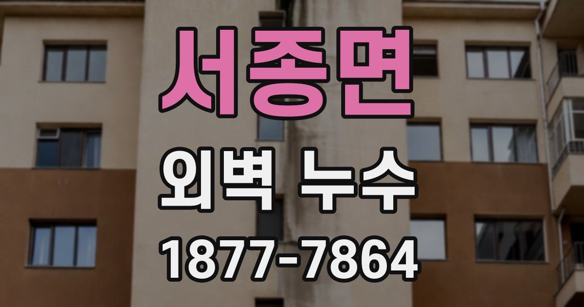 서종면 외벽 누수
