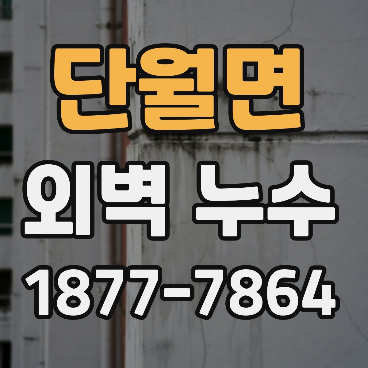 단월면 외벽 누수