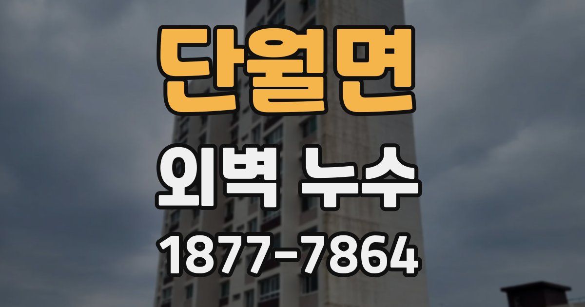 단월면 외벽 누수
