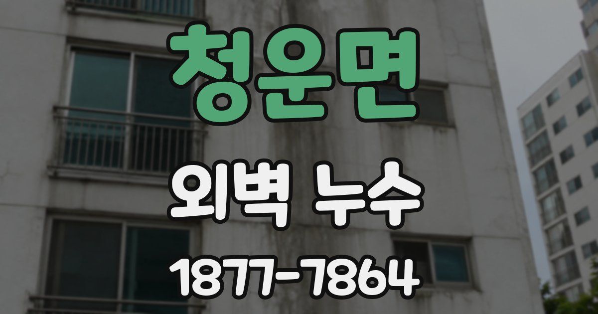 청운면 외벽 누수