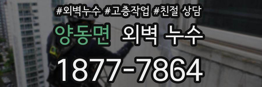 양동면 외벽 누수
