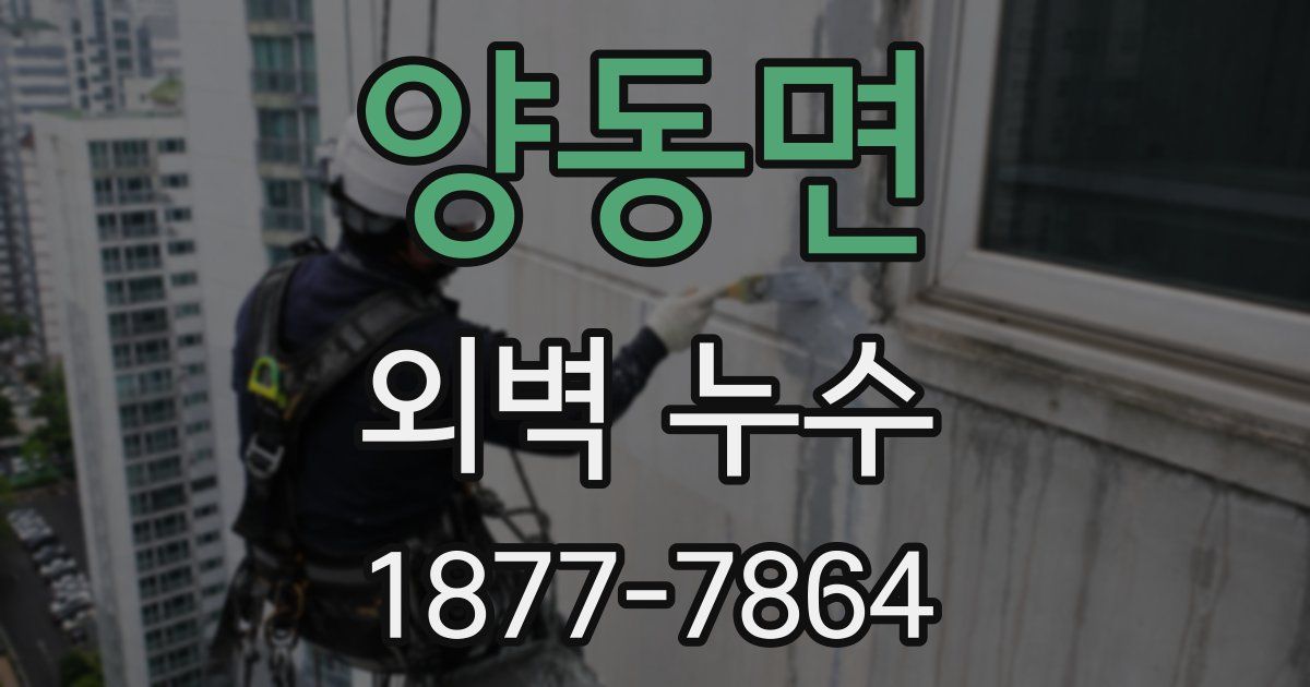 양동면 외벽 누수