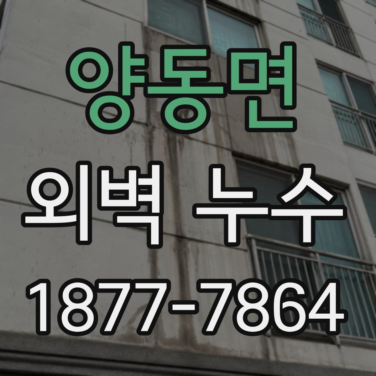 양동면 외벽 누수