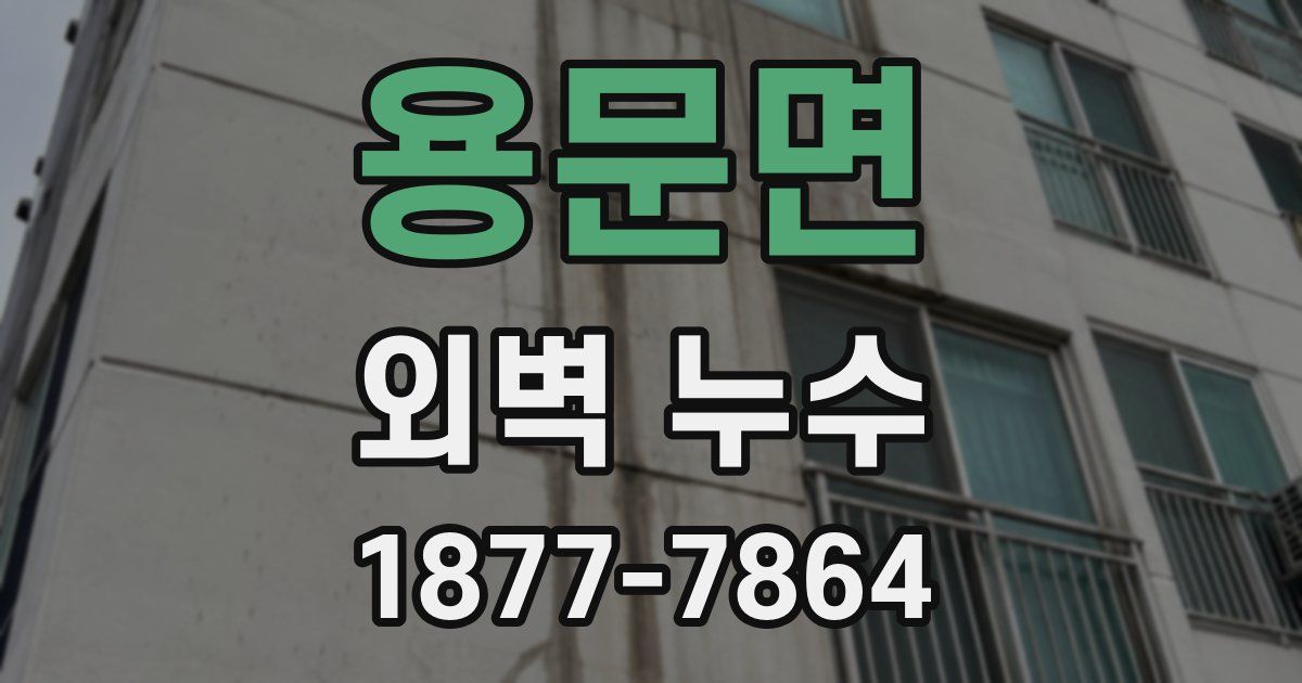 용문면 외벽 누수