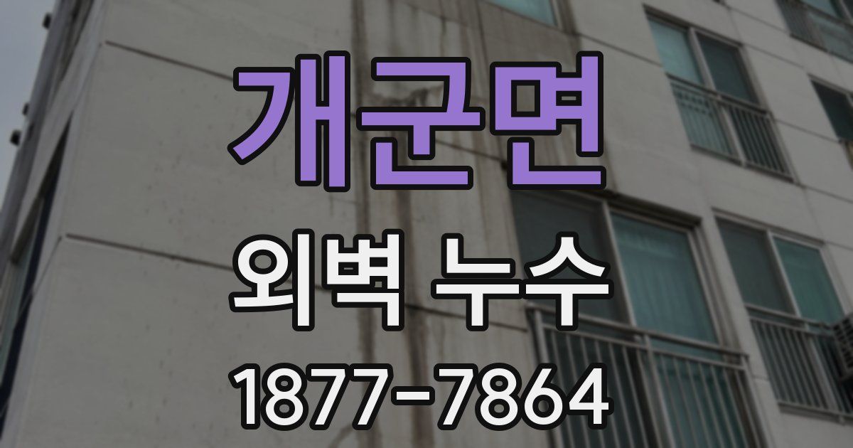 개군면 외벽 누수