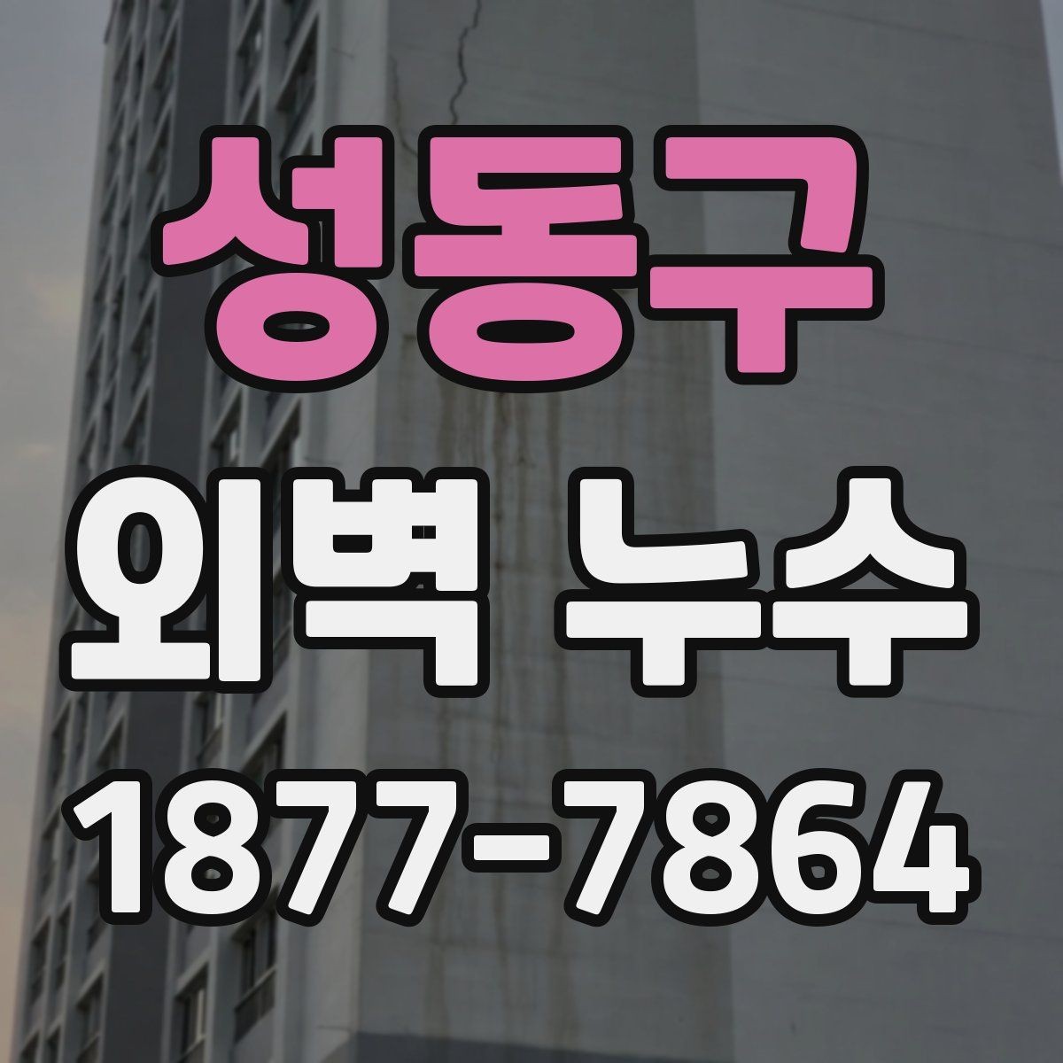 성동구 외벽 누수 진단 후 보수까지의 흐름