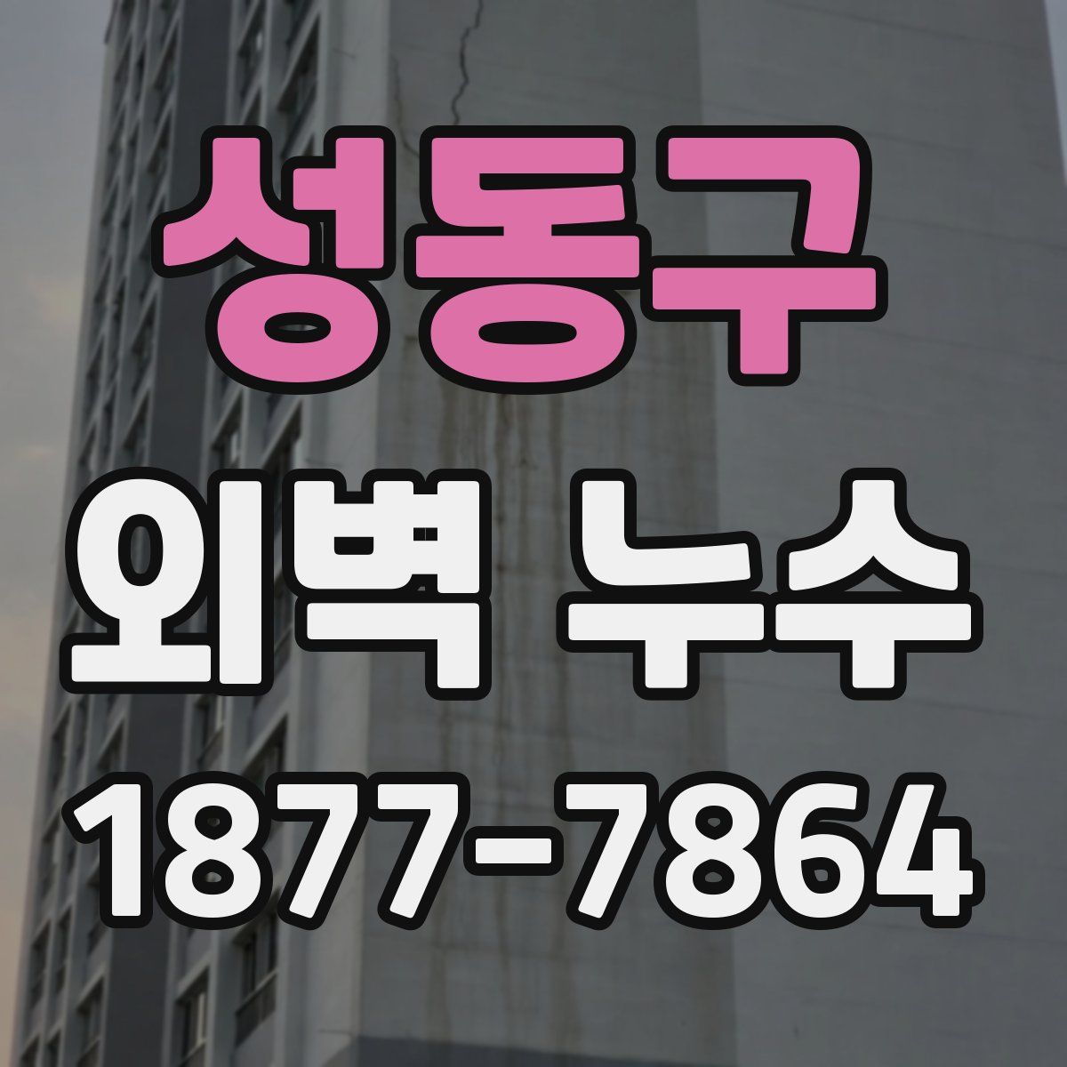 성동구 외벽 누수
