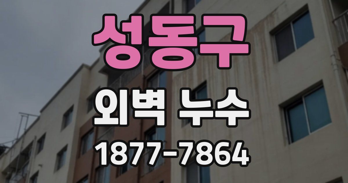 성동구 외벽 누수