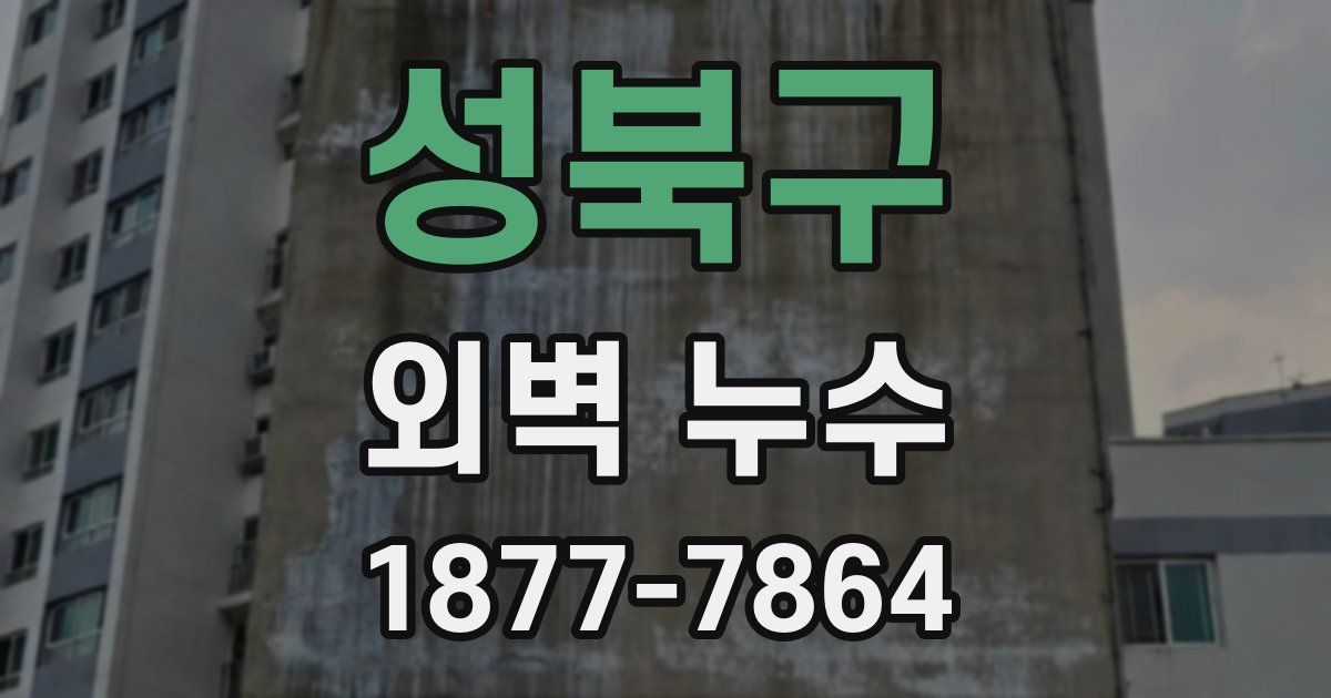 성북구 외벽 누수