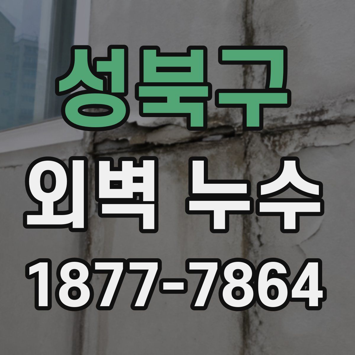 성북구 외벽 누수