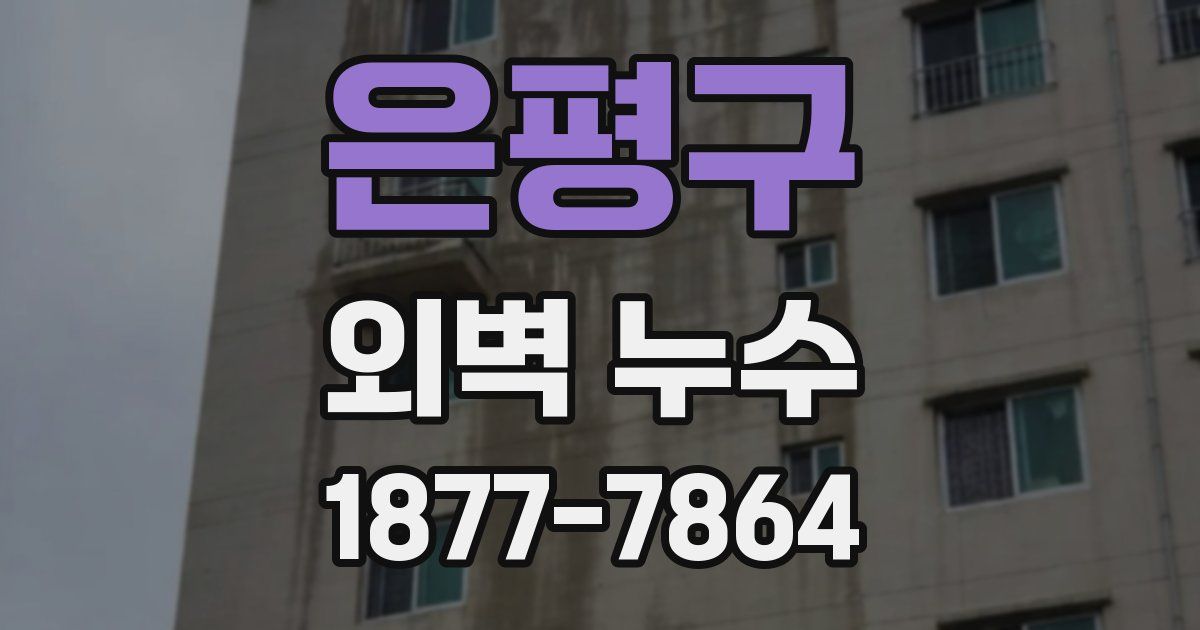 은평구 외벽 누수