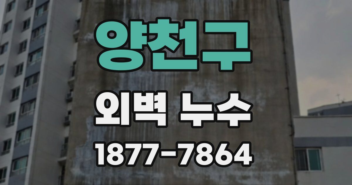 양천구 외벽 누수