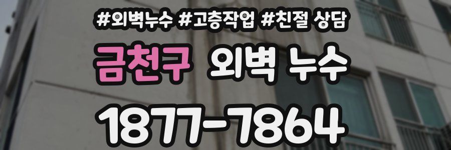 금천구 외벽 누수