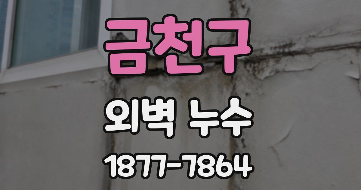 금천구 외벽 누수