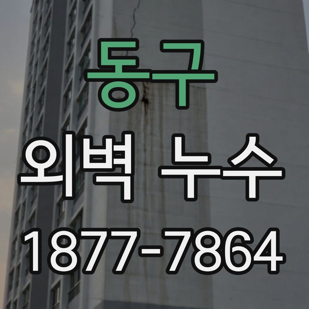 동구 외벽 누수 보수 전에 사진으로 기록할 것