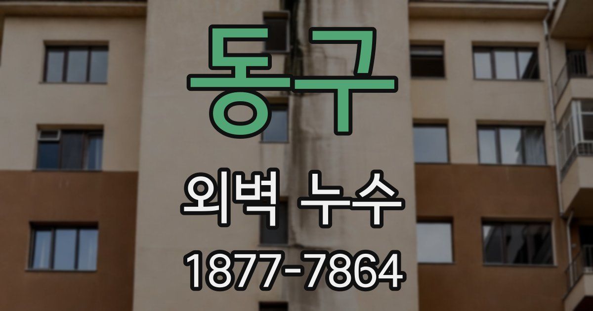 동구 외벽 누수