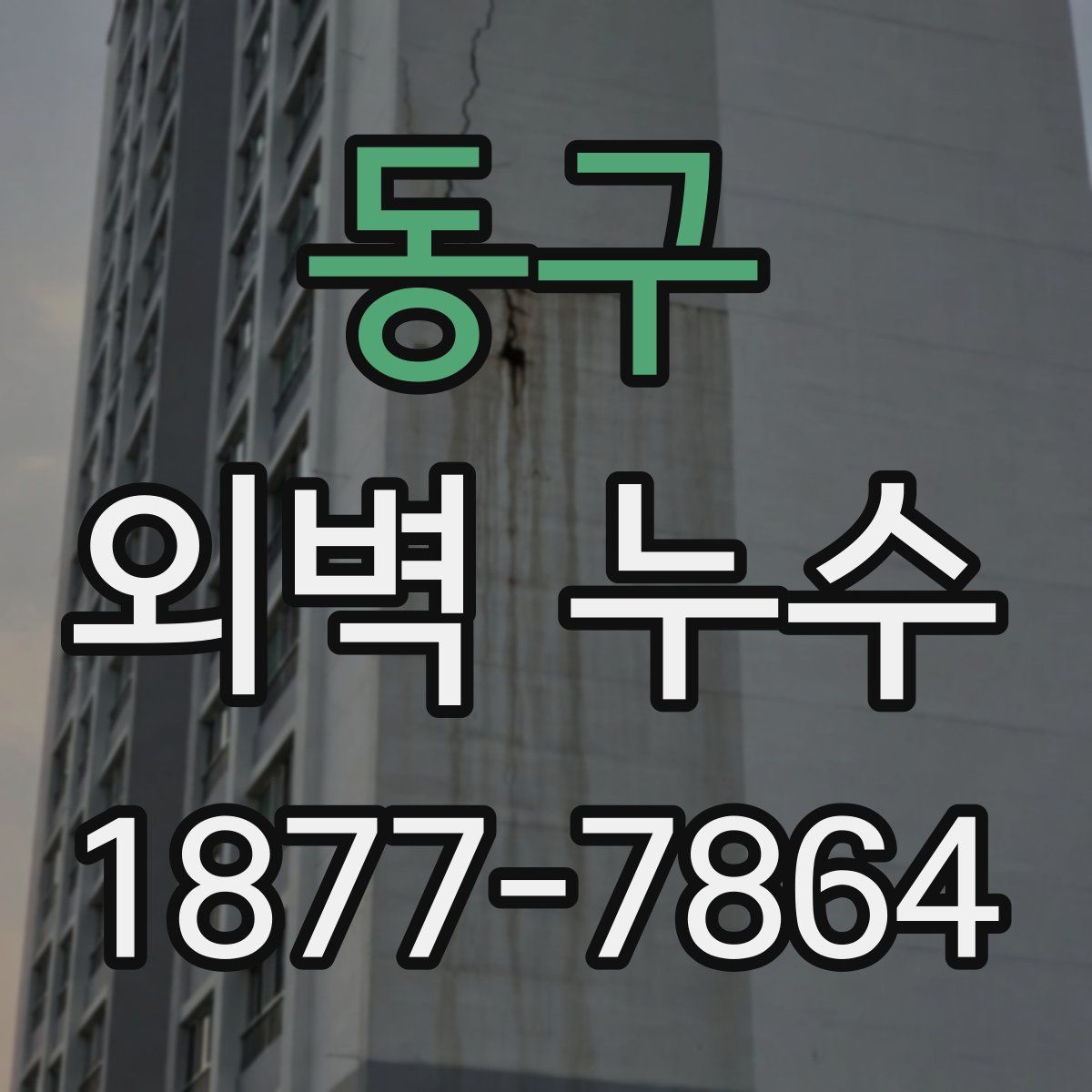 동구 외벽 누수