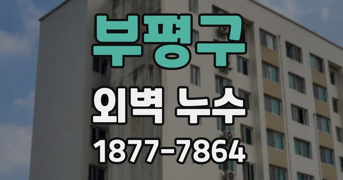 부평구 외벽 누수