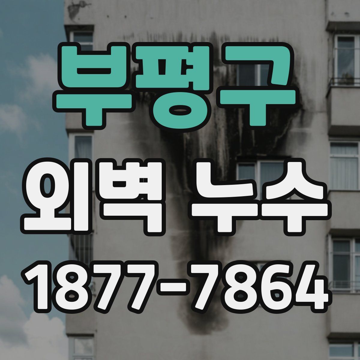 부평구 외벽 누수