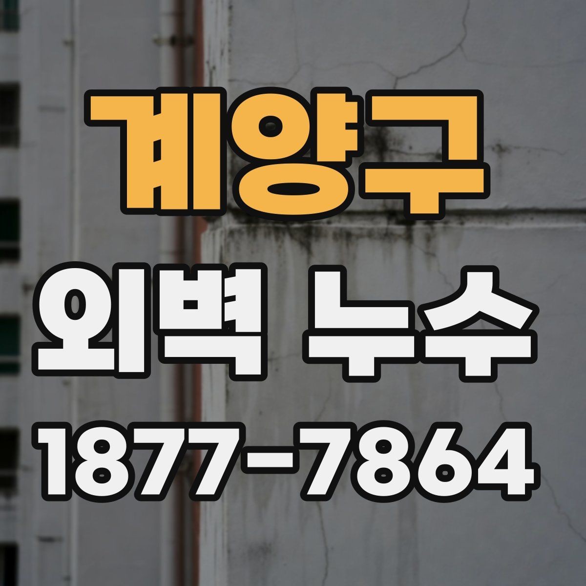 계양구 외벽 누수 대응에서 중요한 현장 기록