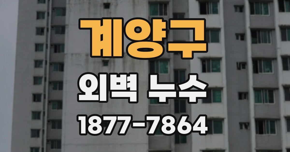 계양구 외벽 누수