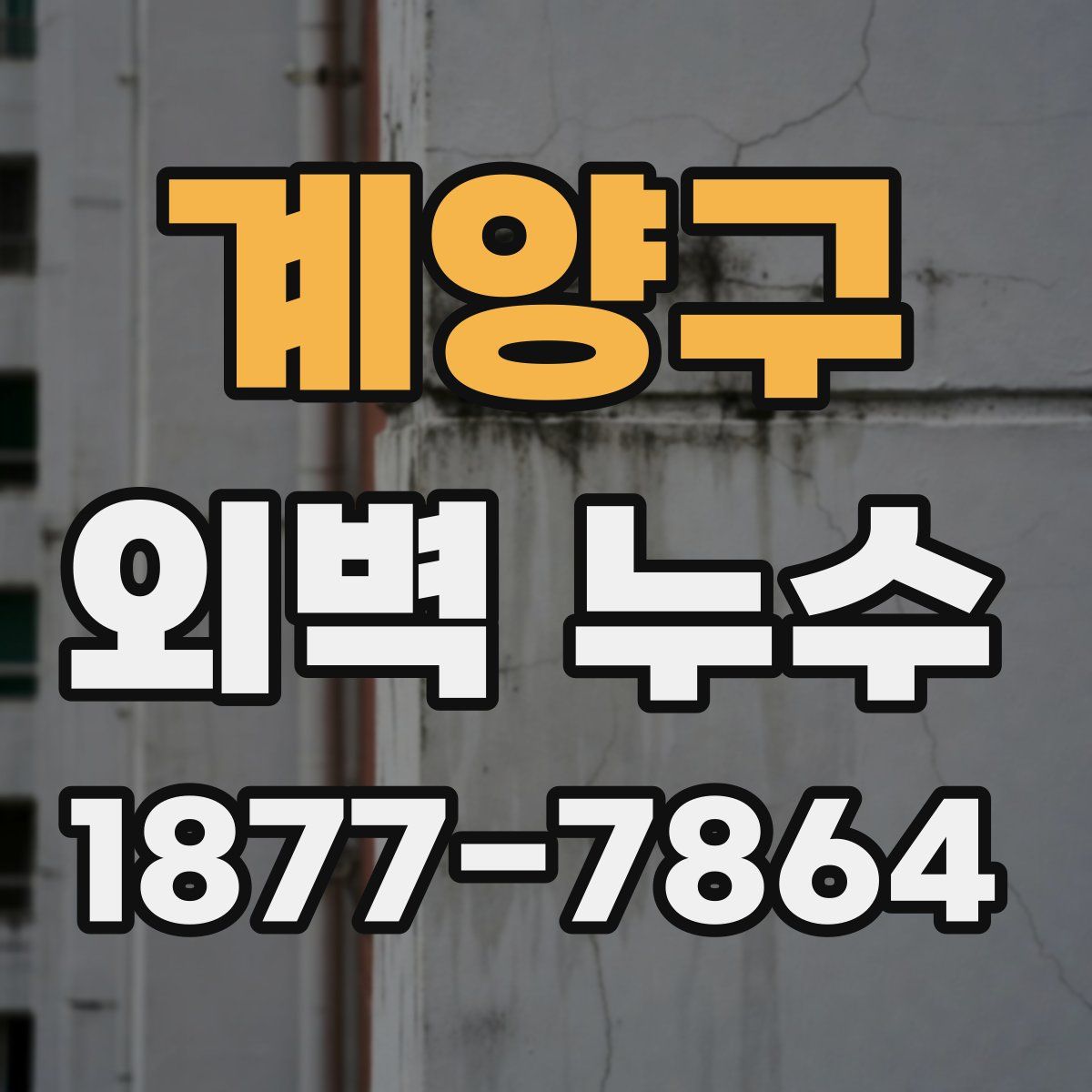 계양구 외벽 누수