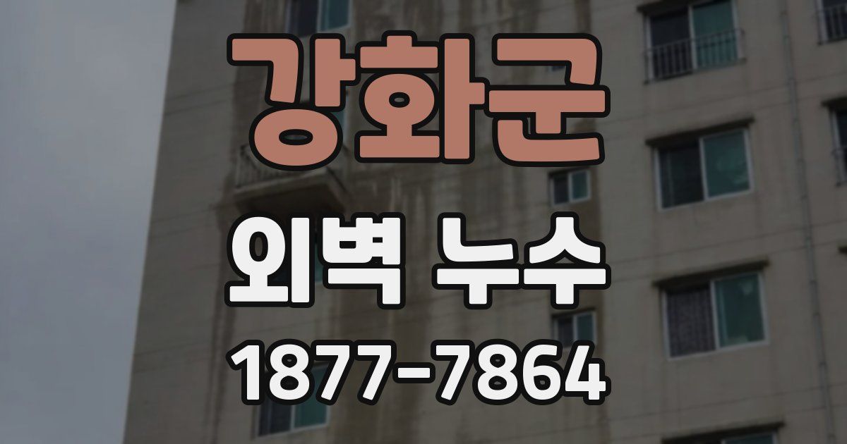 강화군 외벽 누수