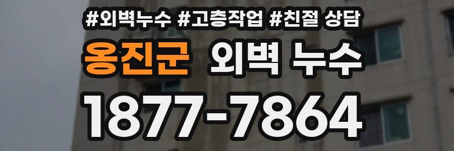 옹진군 외벽 누수