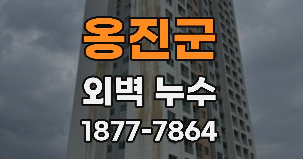 옹진군 외벽 누수
