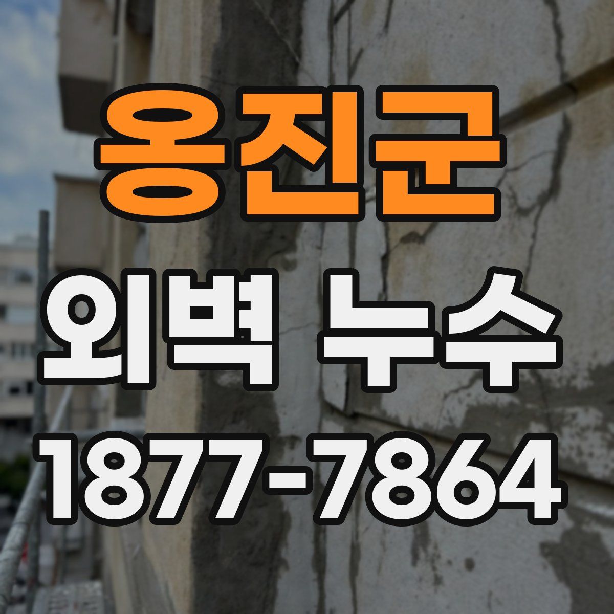 옹진군 외벽 누수