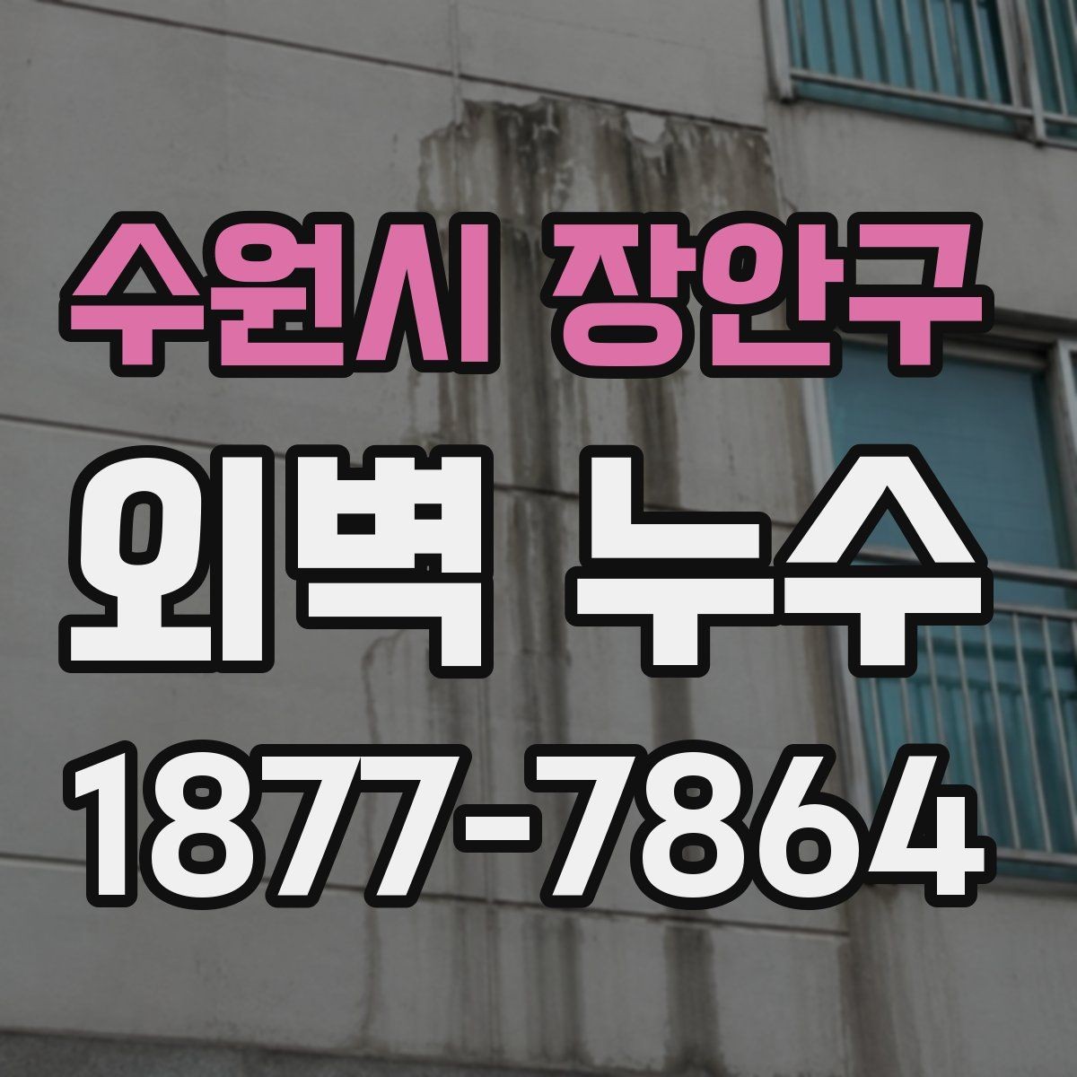 수원시 장안구 외벽 누수 예방을 위한 계절별 관리