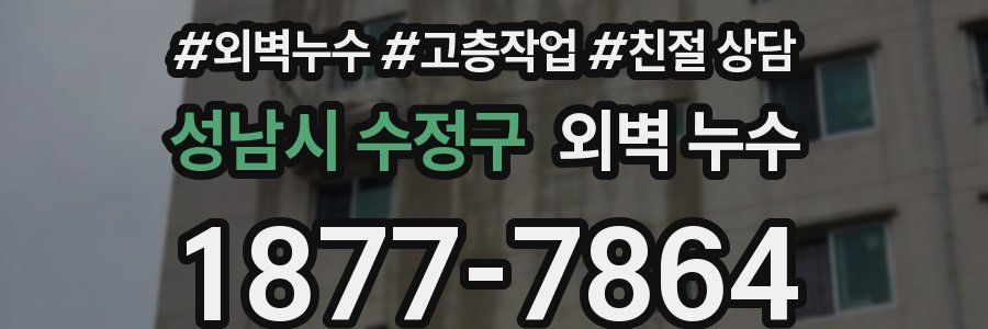 성남시 수정구 외벽 누수