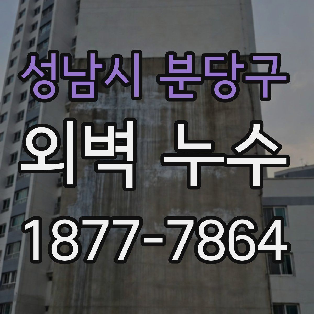 성남시 분당구 외벽 누수 원인을 찾기 위한 단계별 확인