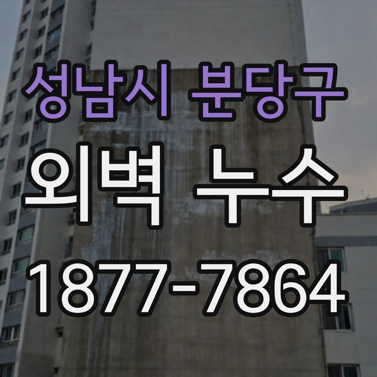 성남시 분당구 외벽 누수