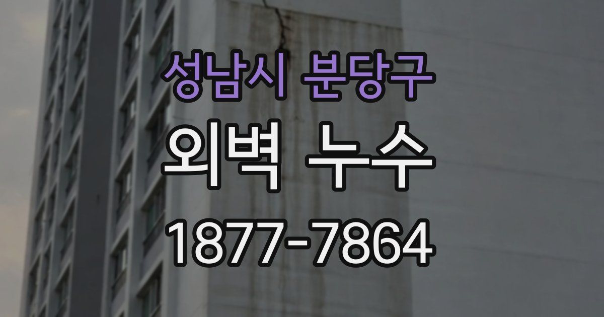 성남시 분당구 외벽 누수