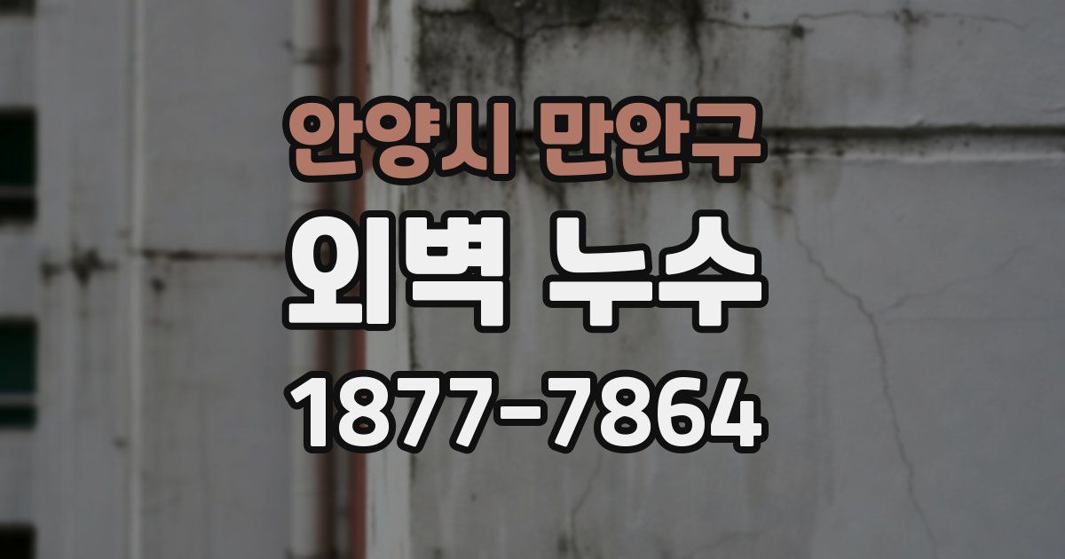 안양시 만안구 외벽 누수