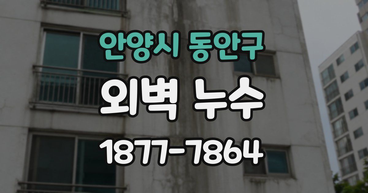 안양시 동안구 외벽 누수