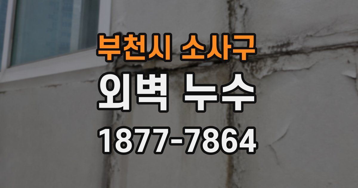 부천시 소사구 외벽 누수