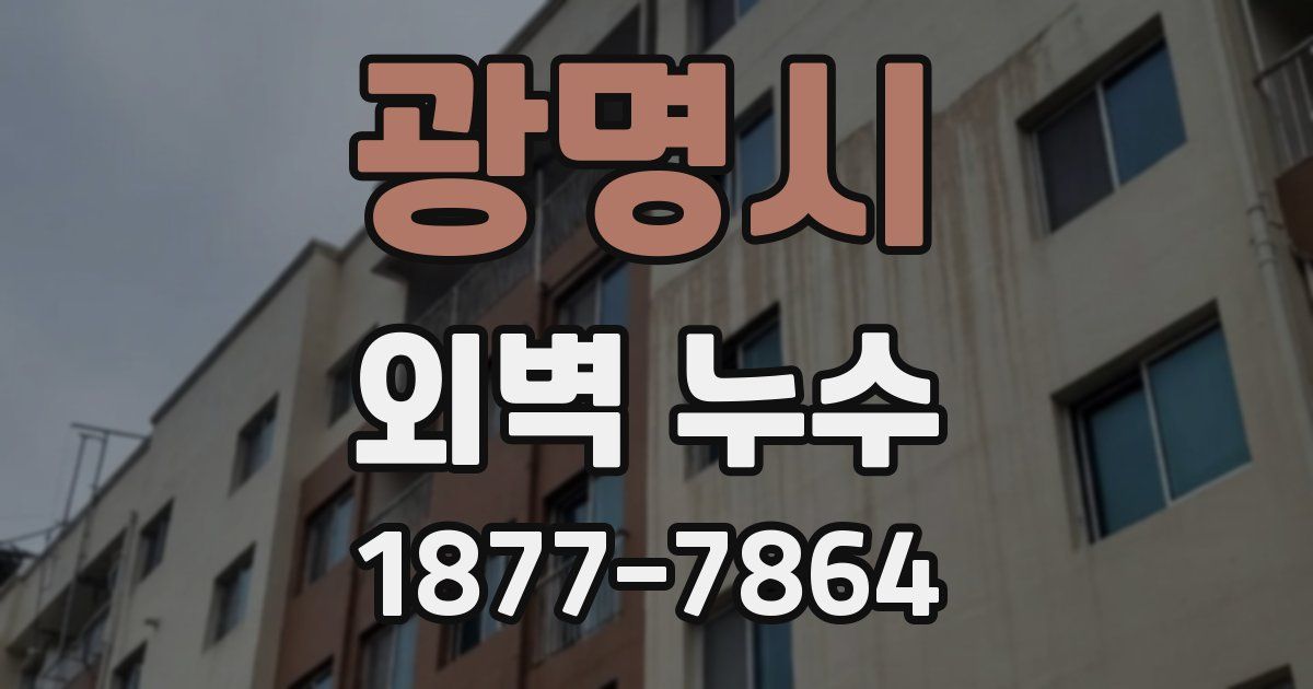 광명시 외벽 누수