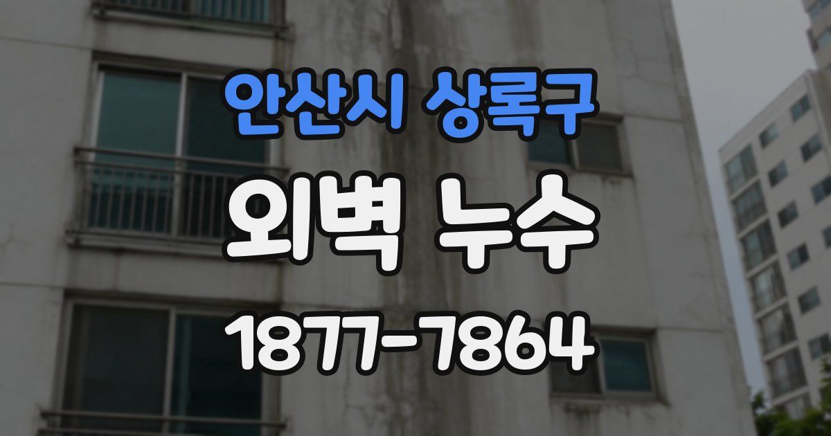 안산시 상록구 외벽 누수