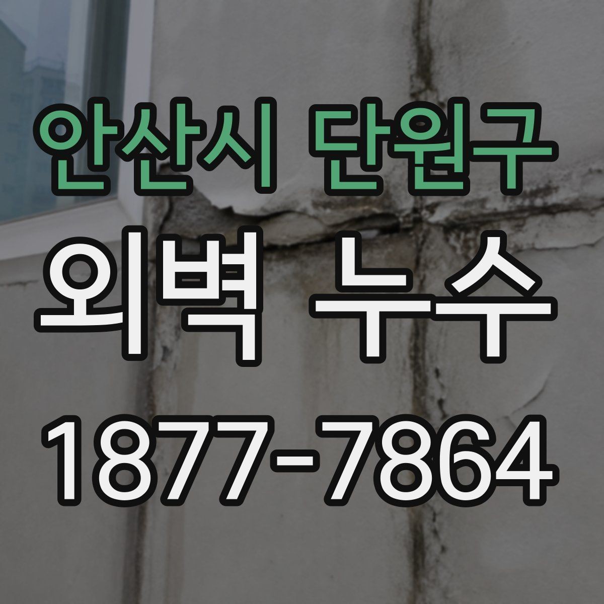 안산시 단원구 외벽 누수 증상 발생 위치에 따른 점검 요령