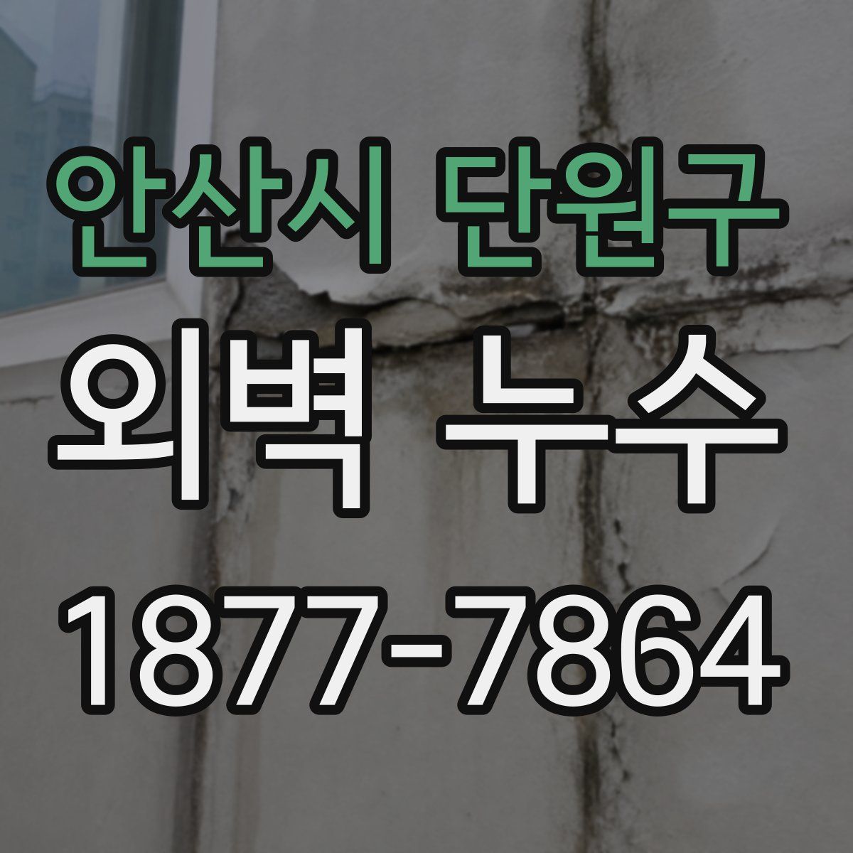 안산시 단원구 외벽 누수