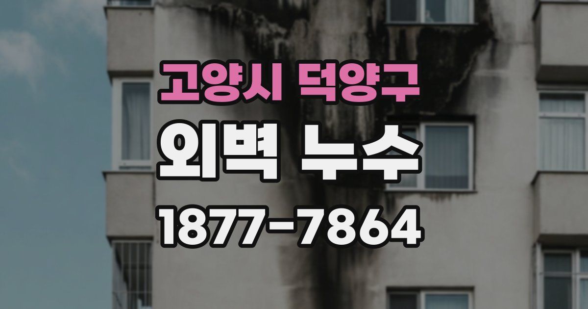 고양시 덕양구 외벽 누수