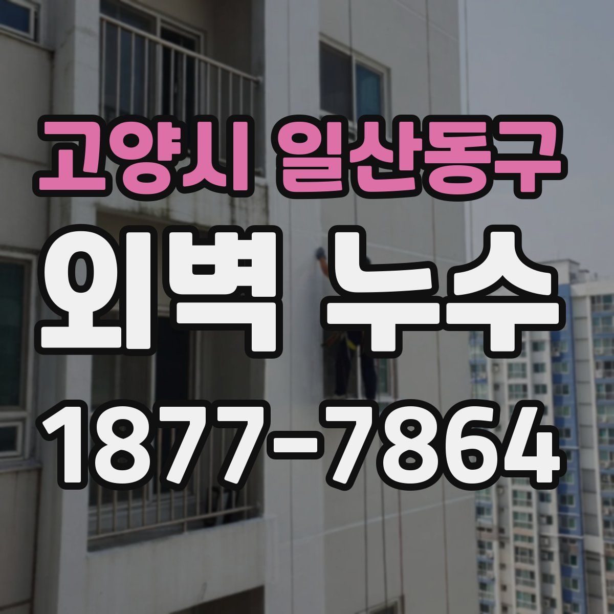 고양시 일산동구 외벽 누수