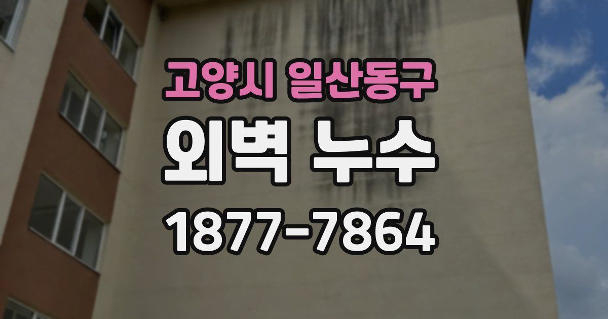 고양시 일산동구 외벽 누수