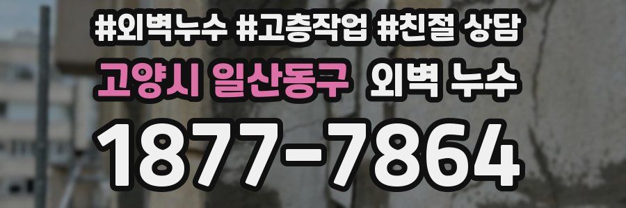 고양시 일산동구 외벽 누수