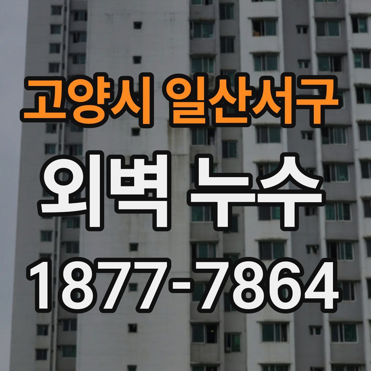고양시 일산서구 외벽 누수